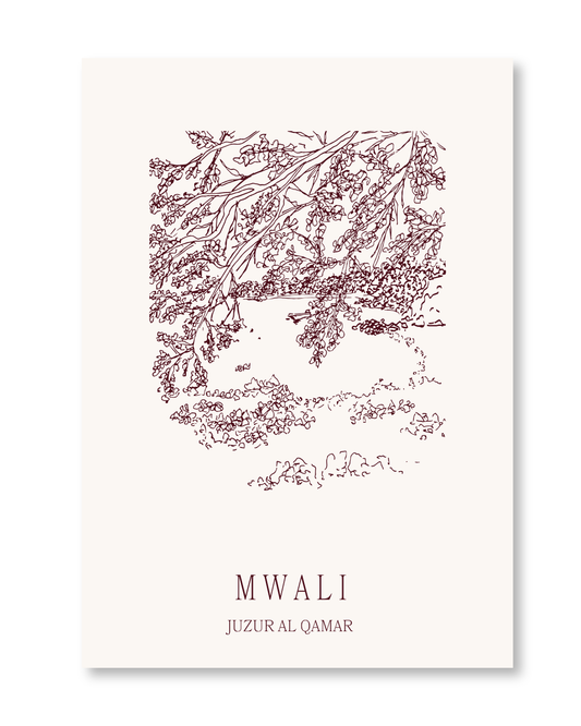 Mwali